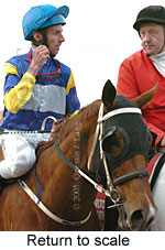 Return to scale (15361 bytes)