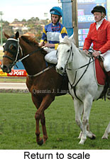 Return to scale (15361 bytes)