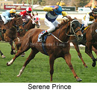 Serene Prince (14872 bytes)