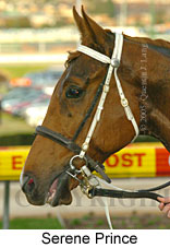 Serene Prince (14872 bytes)