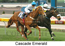 Cascade Emerald (14872 bytes)