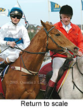 Return to scale (15361 bytes)