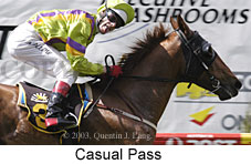 Casual Pass (14957 bytes)