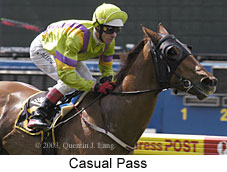 Casual Pass (15186 bytes)