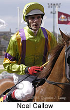 Noel Callow (13644 bytes)