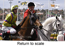 Return to scale (16921 bytes)