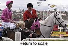 Return to scale (14966 bytes)