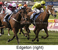 Edgeton (17222 bytes)