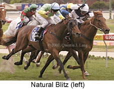 Natural Blitz (18062 bytes)