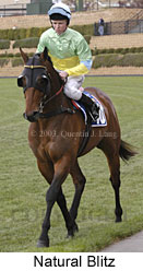 Natural Blitz (13284 bytes)