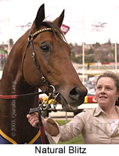 Natural Blitz (14180 bytes)