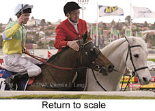 Return to scale (15547 bytes)