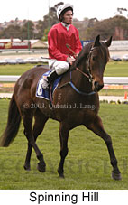 Spinning Hill (13153 bytes)