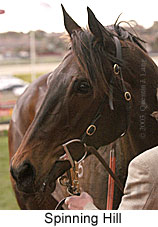 Spinning Hill (13056 bytes)