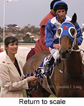 Return to scale (15206 bytes)