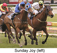 Sunday Joy (17175 bytes)