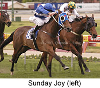 Sunday Joy (16008 bytes)