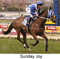 Sunday Joy (17633 bytes)