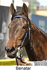 Benatar (16727 bytes)