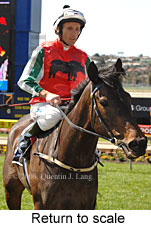 Return to scale (15472 bytes)