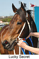 Lucky Secret (16727 bytes)