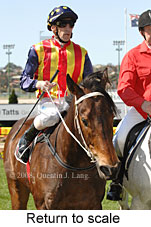 Return to scale (15472 bytes)