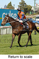 Return to scale (15472 bytes)