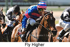 Fly Higher (16727 bytes)