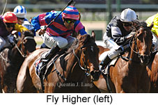 Fly Higher (16727 bytes)