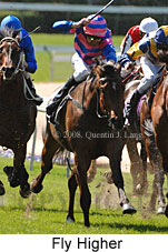 Fly Higher (16727 bytes)