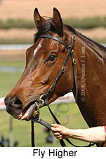 Fly Higher (16727 bytes)
