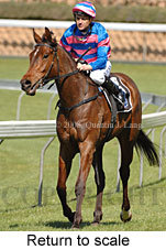 Return to scale (15472 bytes)