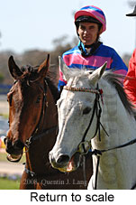 Return to scale (15472 bytes)