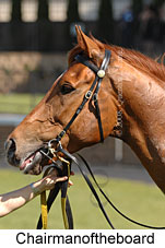 Chairmanoftheboard (16727 bytes)