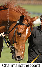 Chairmanoftheboard (16727 bytes)