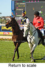 Return to scale (15472 bytes)