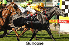 Guillotine (16727 bytes)