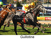 Guillotine (16727 bytes)