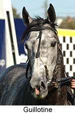 Guillotine (16727 bytes)