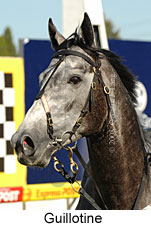 Guillotine (16727 bytes)