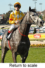 Return to scale (15472 bytes)