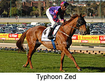 Typhoon Zed (16727 bytes)