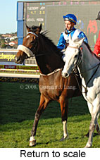 Return to scale (15472 bytes)