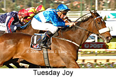Tuesday Joy (16727 bytes)