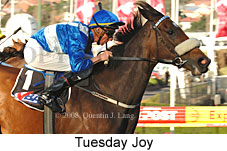 Tuesday Joy (16727 bytes)