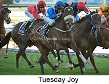 Tuesday Joy (16727 bytes)