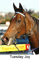 Tuesday Joy (16727 bytes)