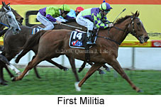 First Militia (16727 bytes)