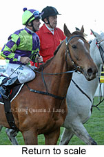 Return to scale (15472 bytes)