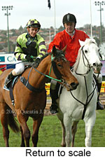 Return to scale (15472 bytes)